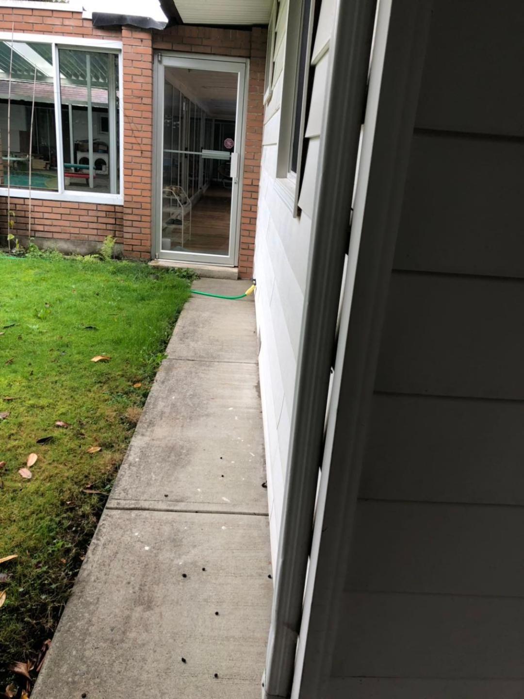 Vancouver Shaughnessy Guest Home Eksteriør bilde